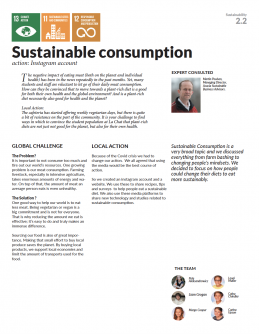 Sustainable Consumption